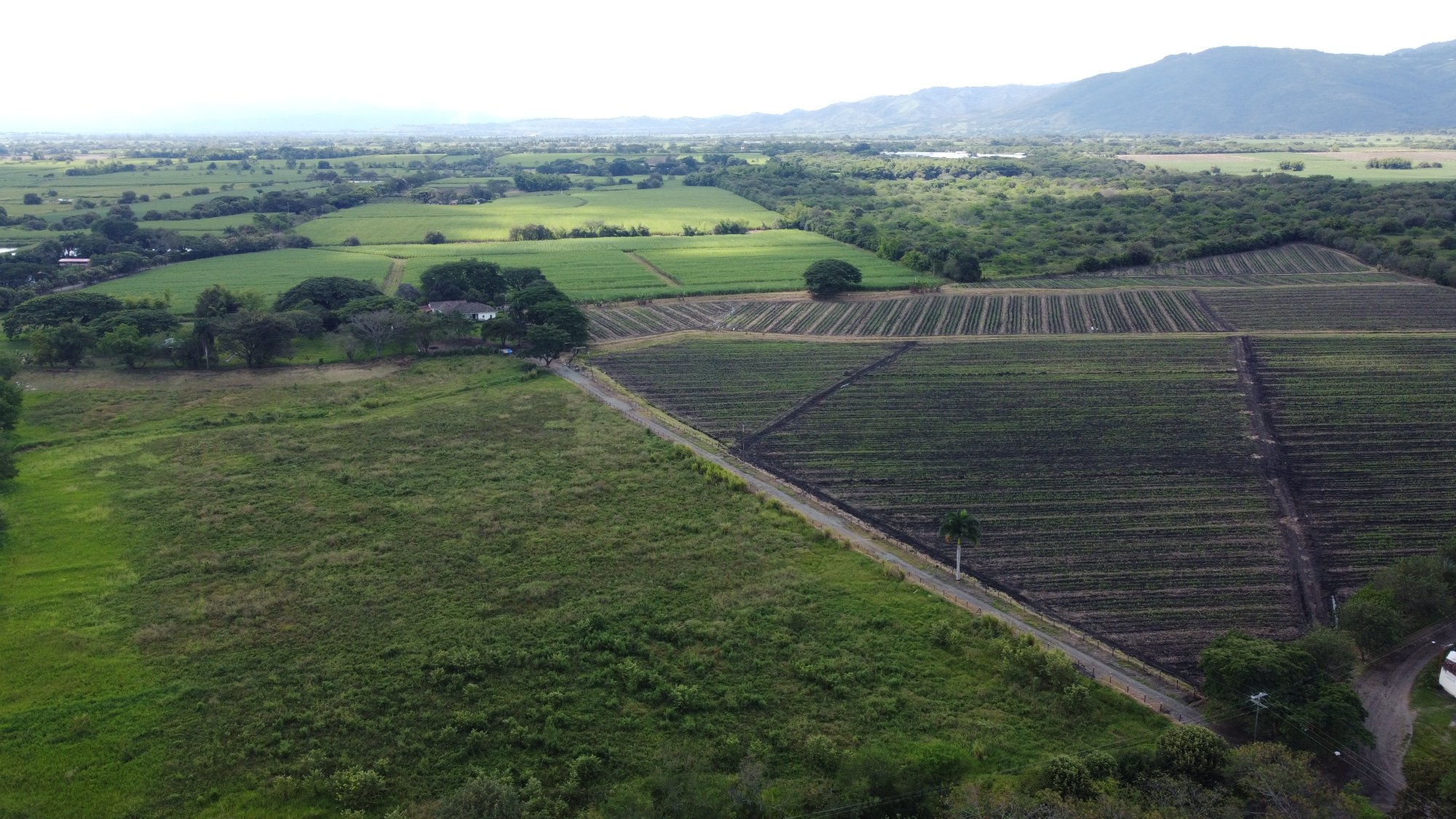 The Valle del Cauca plains and Andean foothills stretching beyond the estate's fields