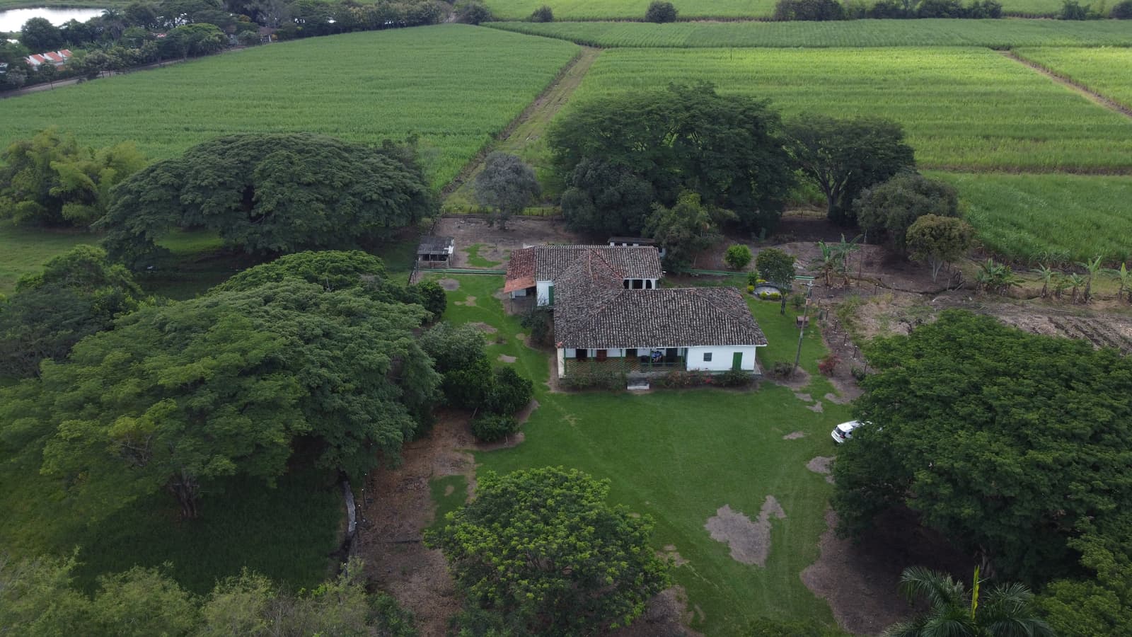Aerial view of Hacienda San Antonio among green sugar-cane fields and saman trees